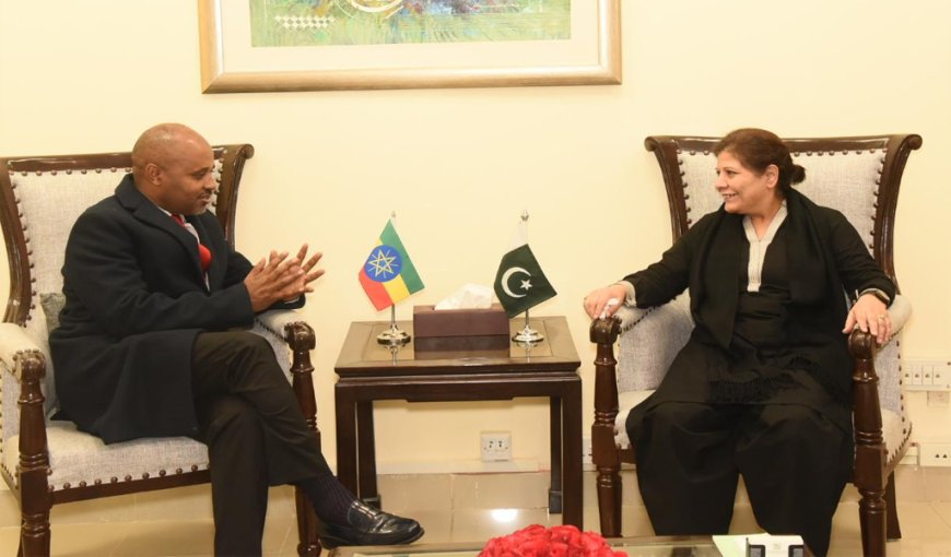 Pakistan's Economic Turnaround Garners Praise from Ethiopian Diplomats