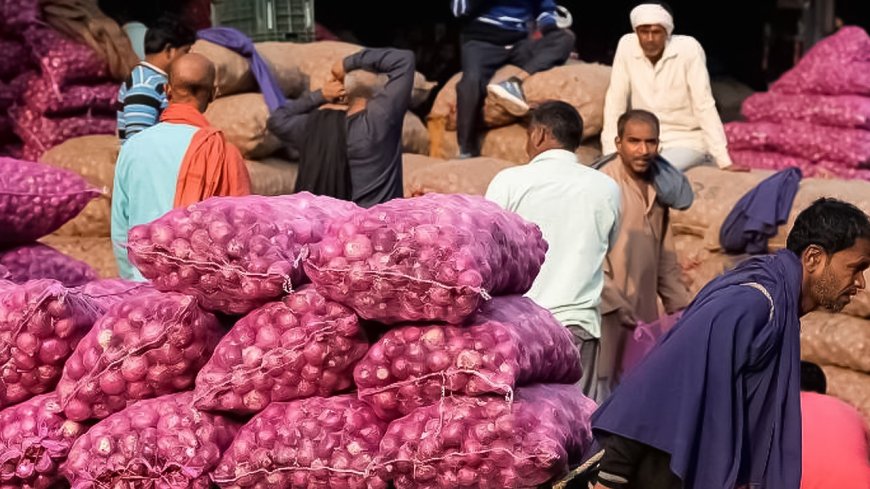 Pakistan’s Onion Exports Exceed $210 Million